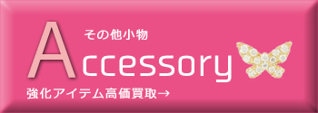 accessory　(小物)